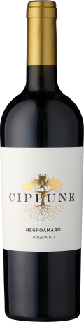 2023 Cippune Negroamaro