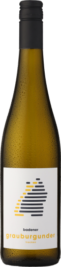 2024 badener Grauburgunder