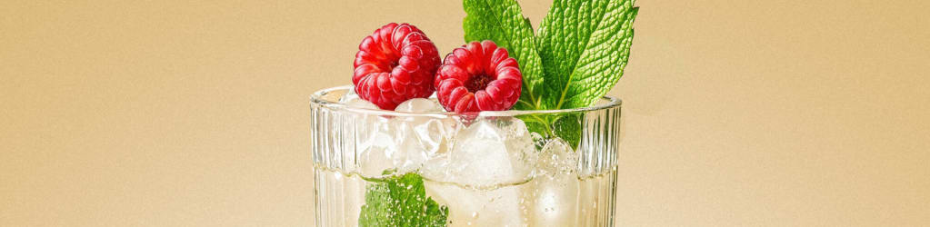 Raspberry Mojito