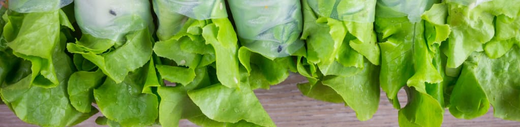 Leichte Sommerrollen