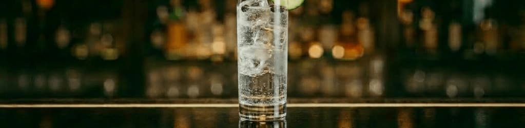 Gin Tonic