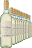 2024 Albinoni Pinot Grigio im 12er-Vorratspaket