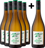5+1-PAKET Emil Bauer »No Grigio. No Gris...« Grauburgunder 2025