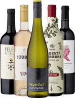 Ludwig’s Weinprobe »Einstieg in die Weinwelt«
