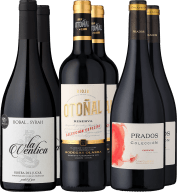 6er-Probierpaket »Rotweine aus Spanien«