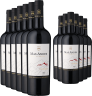 6+6-PAKET Rothschild Mas Andes Gran Reserva Carménère 2023