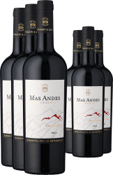 3+3-PAKET Rothschild Mas Andes Gran Reserva Carménère 2023