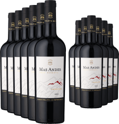 6+6-PAKET Rothschild Mas Andes Gran Reserva Carménère 2023