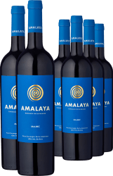 4+2-PAKET Amalaya 2024