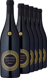 2024 Magnifico Fuoco Primitivo im 6er-Vorratspaket