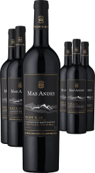 3+3-PAKET Rothschild Mas Andes PLOT C-15 Cabernet Sauvignon 2022