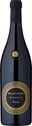 2024 Magnifico Fuoco Primitivo