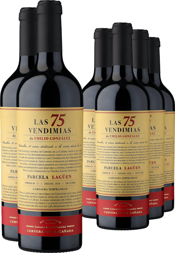 2020 Bodega San Gregorio »Las 75 Vendimias de Emilio González« im 6er-Vorratspaket