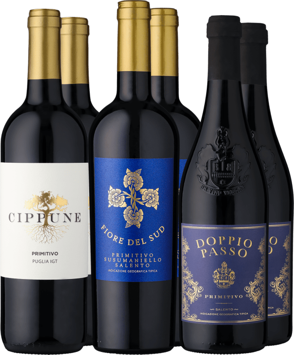 6er-Probierpaket »Primitivo-Favoriten«