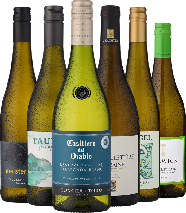 6er-Probierpaket »Sauvignon Blanc Weltreise«