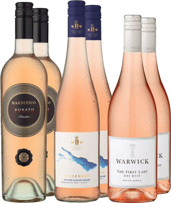 6er-Probierpaket »Die Welt in Rosé«