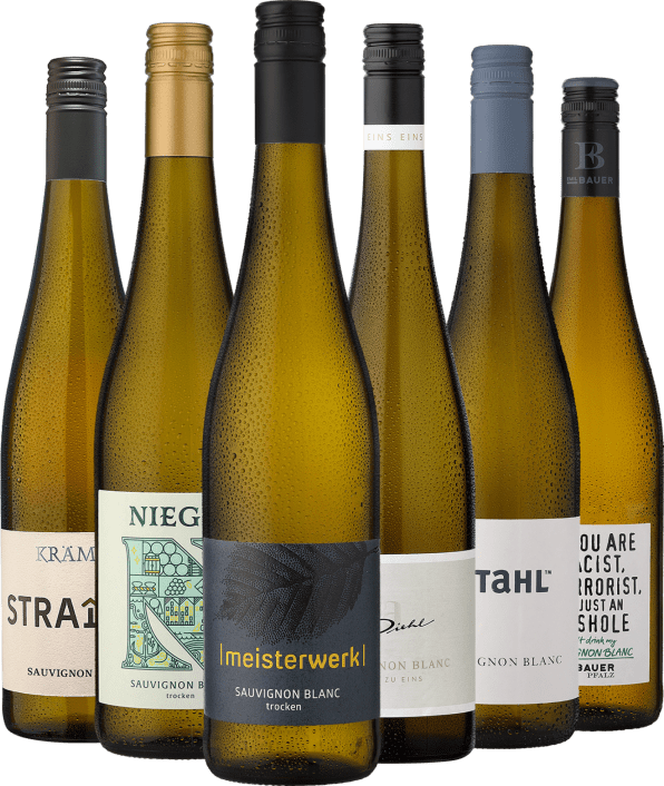 6er-Probierpaket »Sauvignon Blanc aus Deutschland«