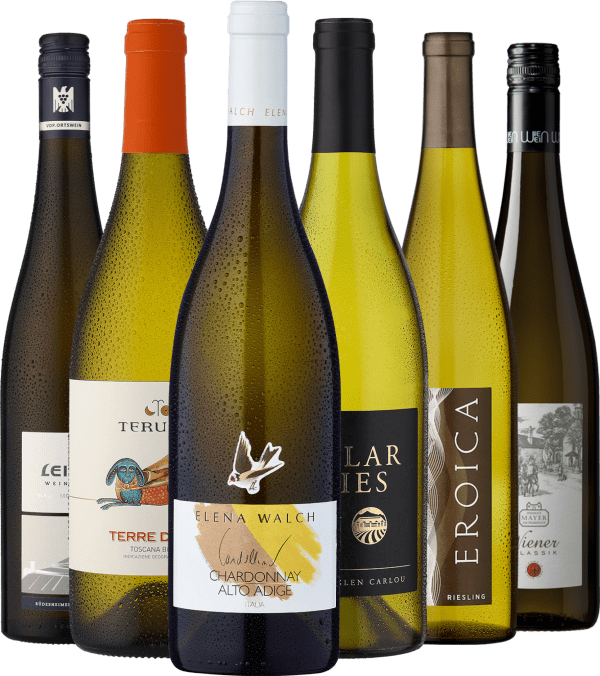 6er-Probierpaket »Weißweine zum Anstoßen«