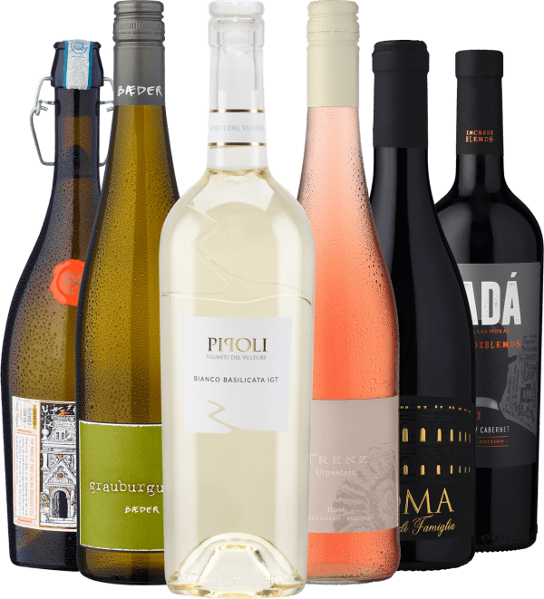 6er-Probierpaket »Die best bottles des Jahres«