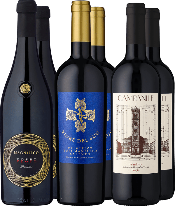 6er-Probierpaket »Ausgezeichnete Primitivo-Lieblinge«