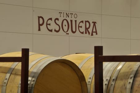 Gelagerte Weinfässer vor dem Schriftzug Tinto Pesquera