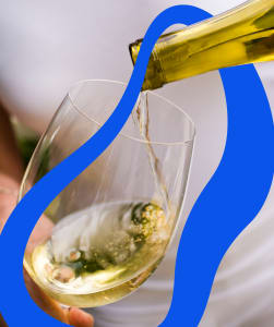 Eine Rebe mit Riesling-Trauben.