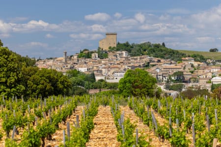 Weinreben in Châteauneuf-du-Pape