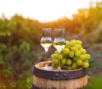 Grappa in Gläsern auf einem Fass