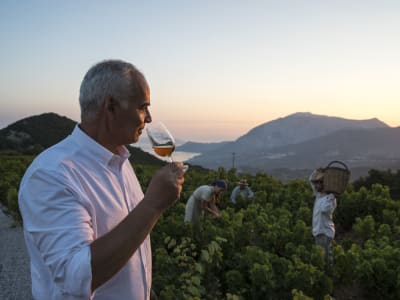 Mann trinkt Metaxa in den Weinbergen