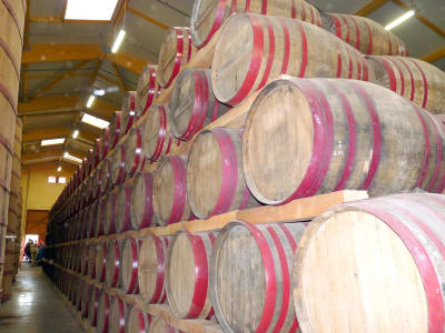 Lagernde Fässer bei Calvados Dauphin in der Normandie.