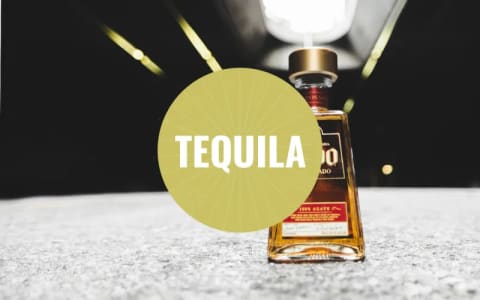 Eine Flasche Tequila 1800.