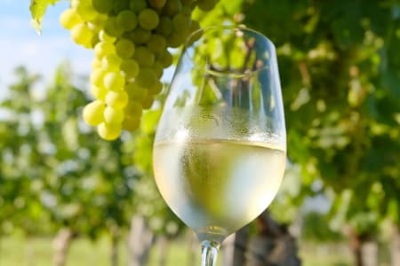 Weißwein in Gläsern