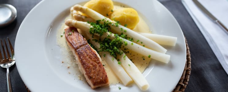 Zanderfilet mit Spargel