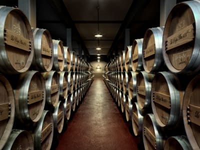 Eichenfässer im Weinkeller von La Rioja Alta.