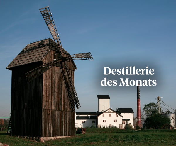 Teaser-Bild