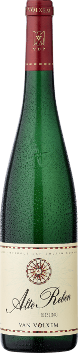 2023 Van Volxem Riesling »Alte Reben«