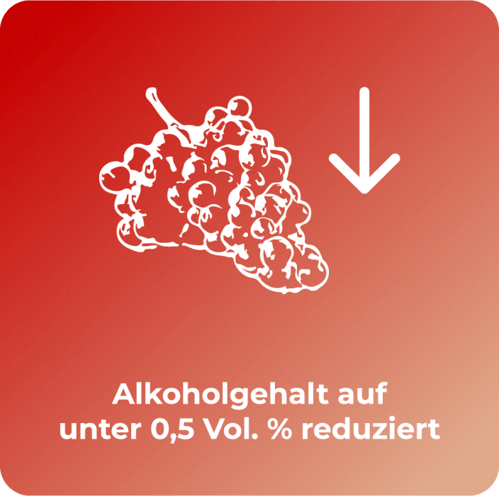 Ein Weinrebenstrang mit der Aufschrift Alkoholgehalt auf unter 0,5% reduziert und einem nach unten zeigenden Pfeil