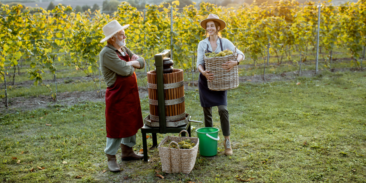 Alkoholfrei.de/3000x1500winzer-auf-dem-feld.png