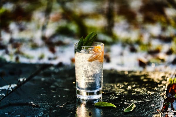The Botanist Cocktail Tonic Clementine & Salbei gemixt