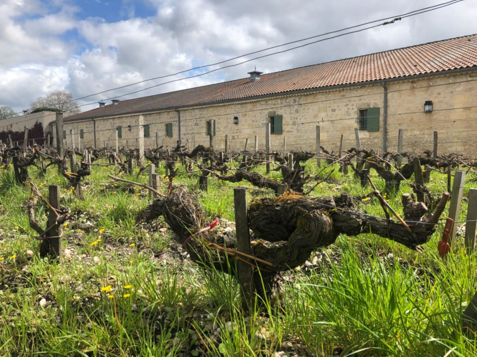 Château Margaux
