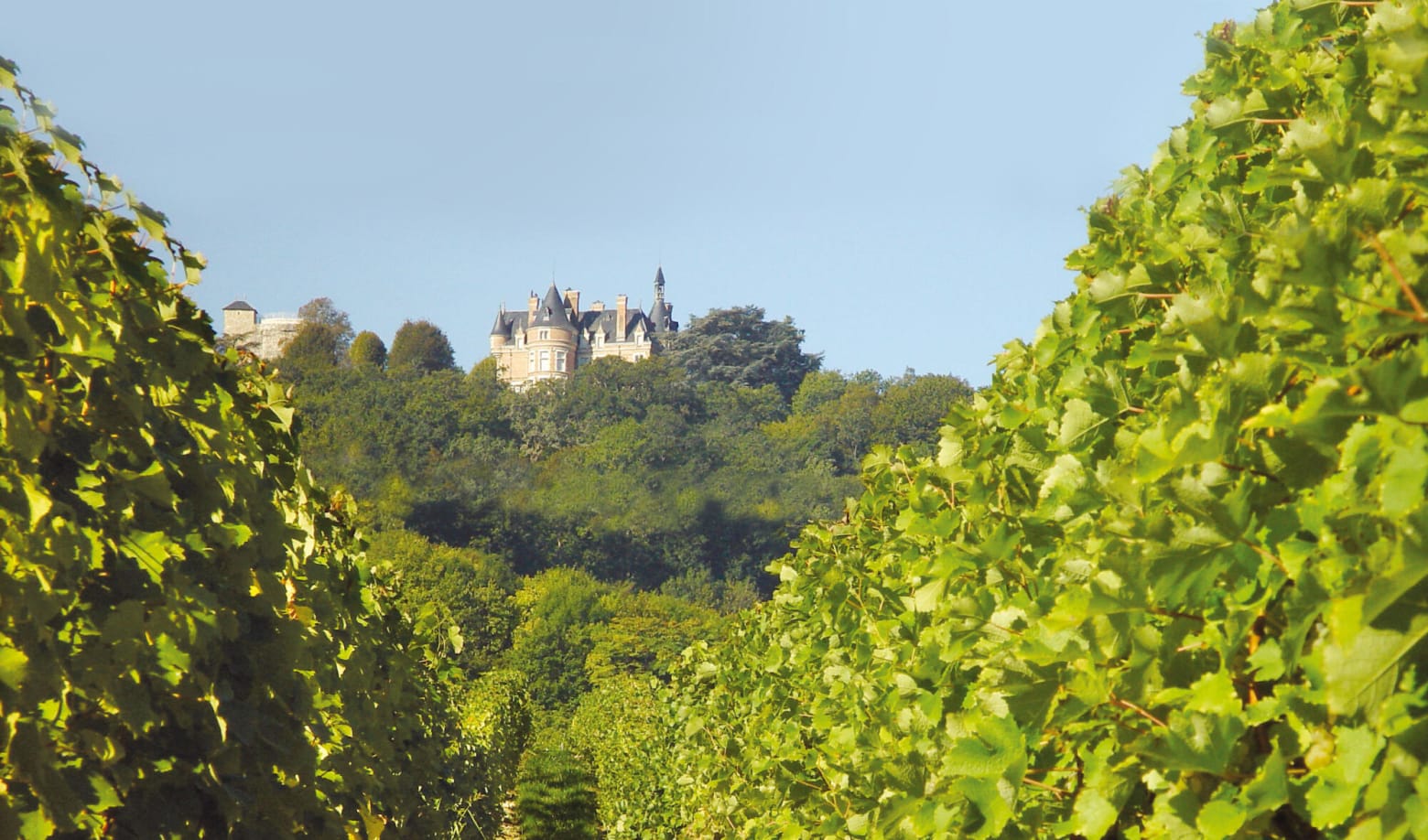 Château de Sancerre