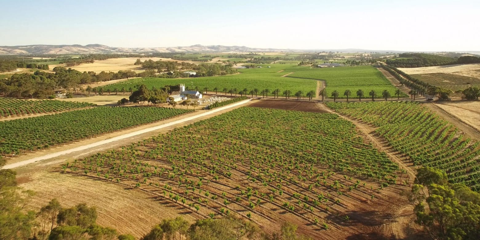 Torbreck Vintners