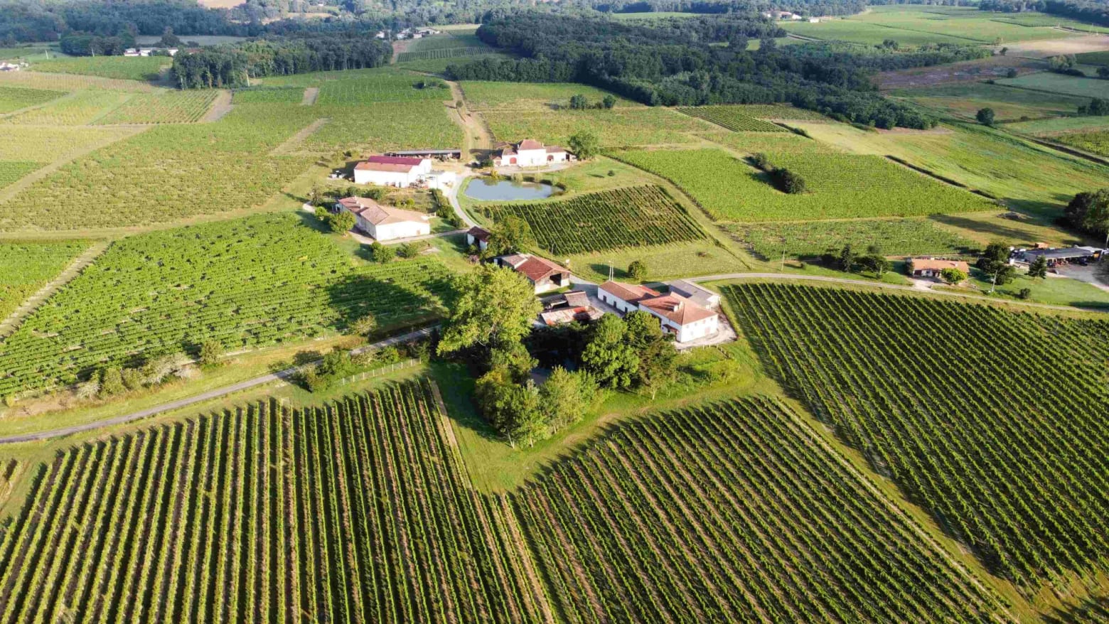 Château Loyasson