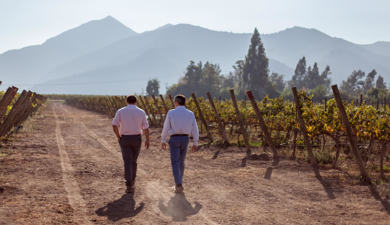 Baron Philippe de Rothschild - Chile