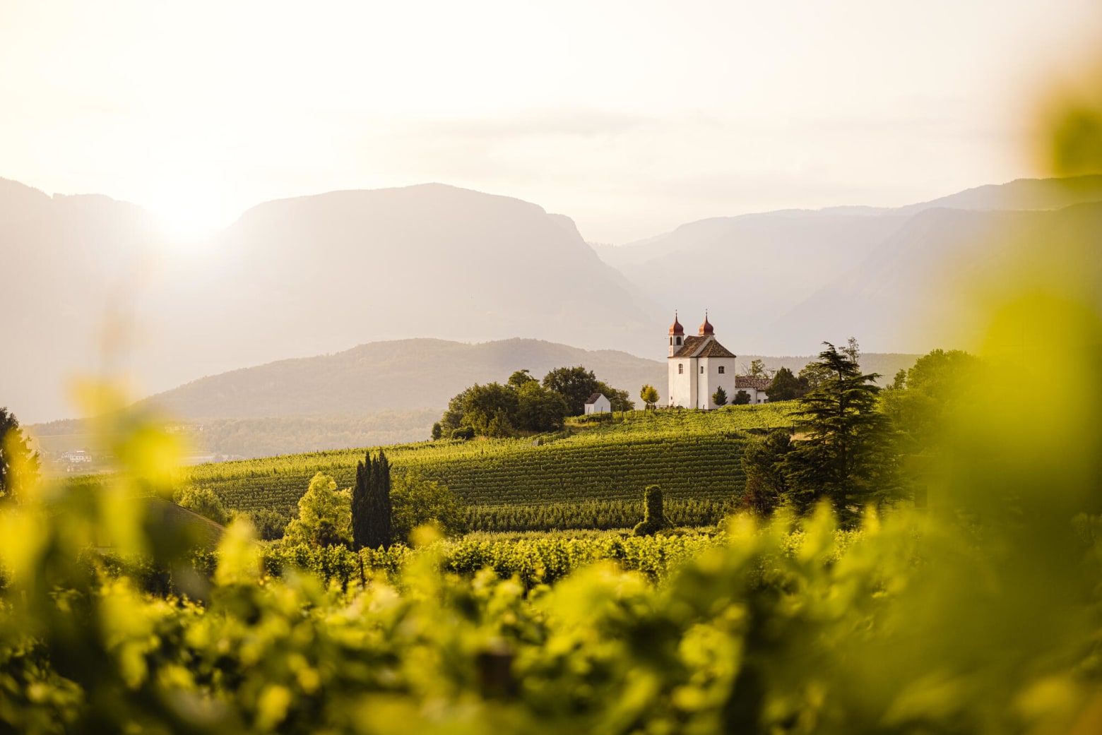 Edelbrennerei Walcher