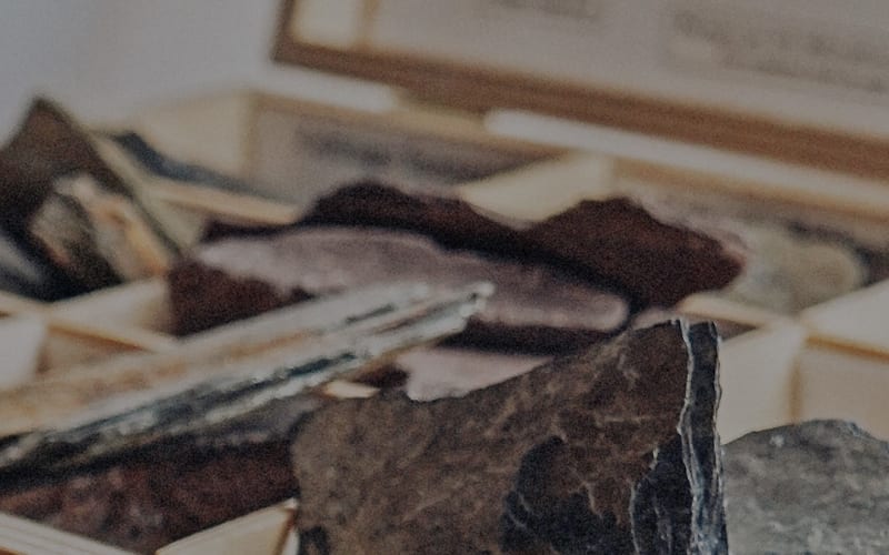 category banner