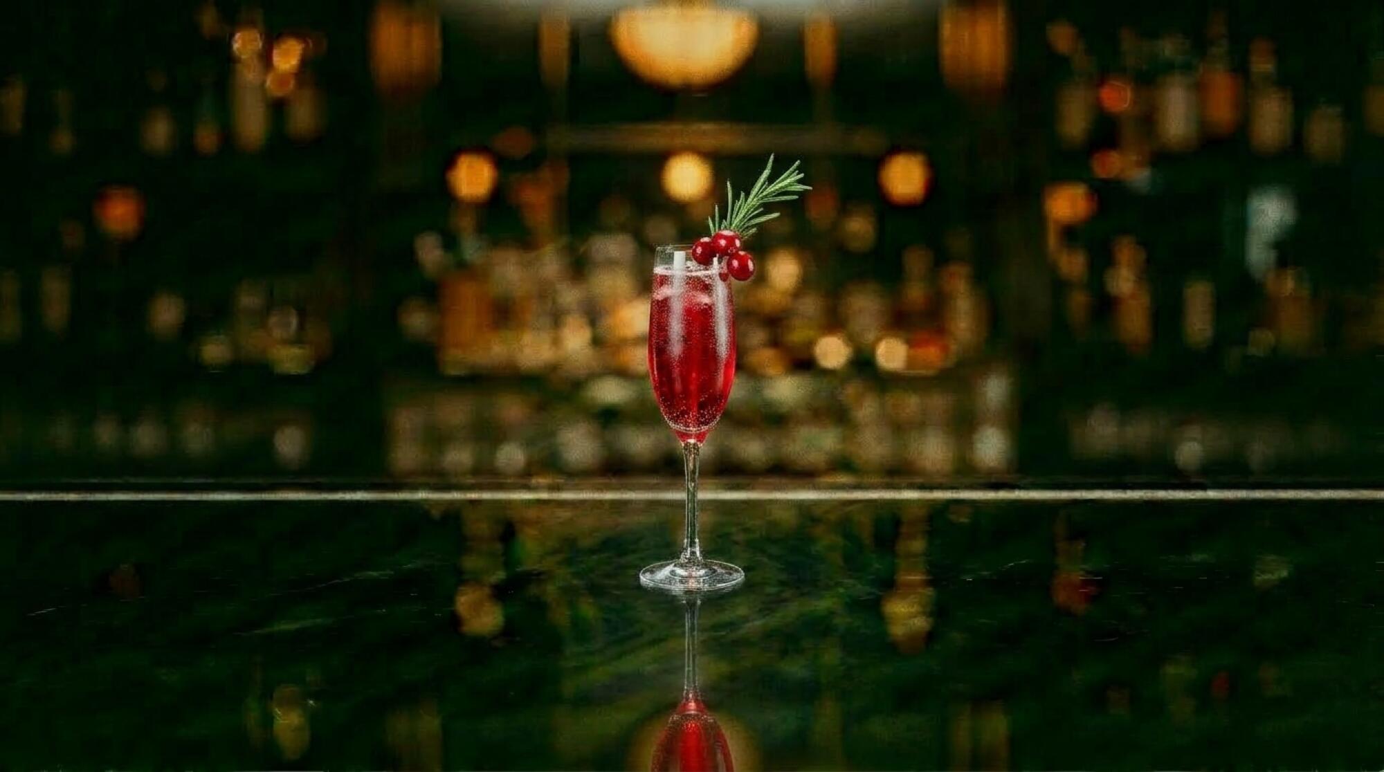 Poinsettia