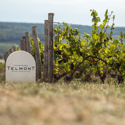 Telmont