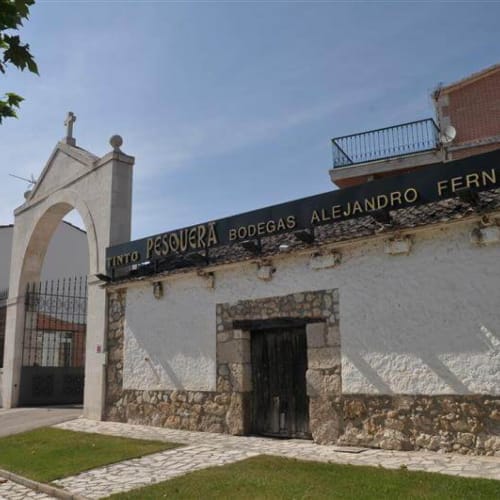 Tinto Pesquera