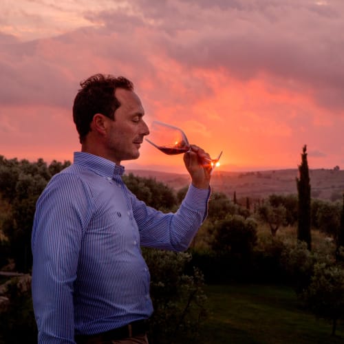 Tenuta dell' Ammiraglia
